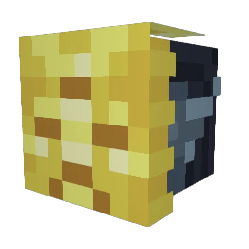 Firephoenix207 Minecraft avatar head, 3D render
