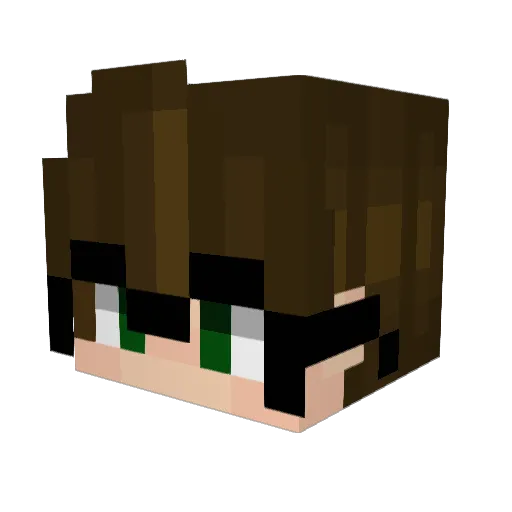 Firestorm124810 Minecraft avatar head, 3D render