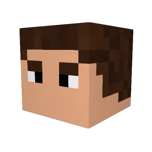 Firestreak13 Minecraft avatar head, 3D render