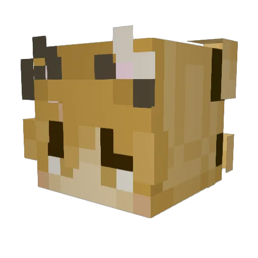 Firetex_WUT Minecraft avatar head, 3D render