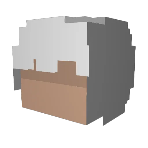 Firetree_ Minecraft avatar head, 3D render