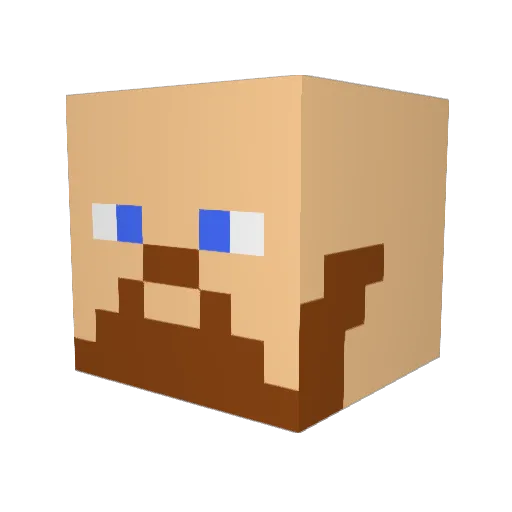 Firewa1 Minecraft avatar head, 3D render