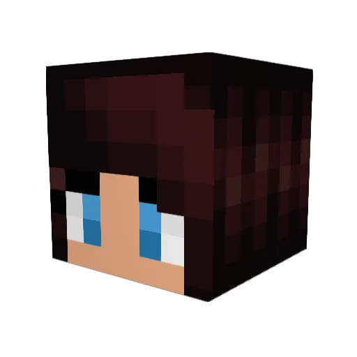 Firewithin666 Minecraft avatar head, 3D render