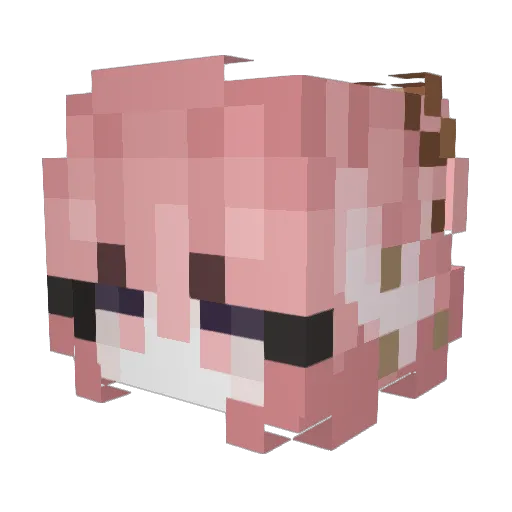 Firewolf258 Minecraft avatar head, 3D render