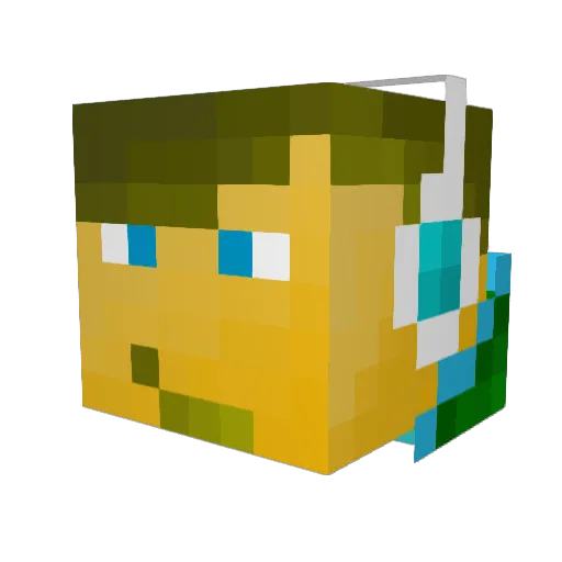 FirexSpin Minecraft avatar head, 3D render