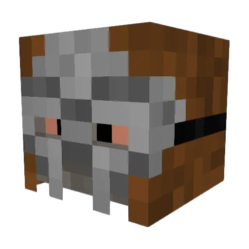 Firey_Proto Minecraft avatar head, 3D render