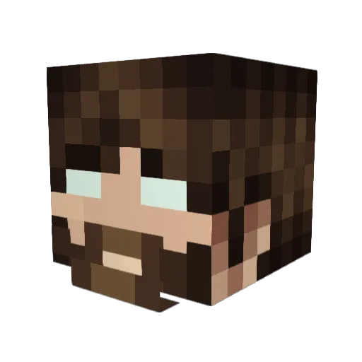Firisfiti Minecraft avatar head, 3D render