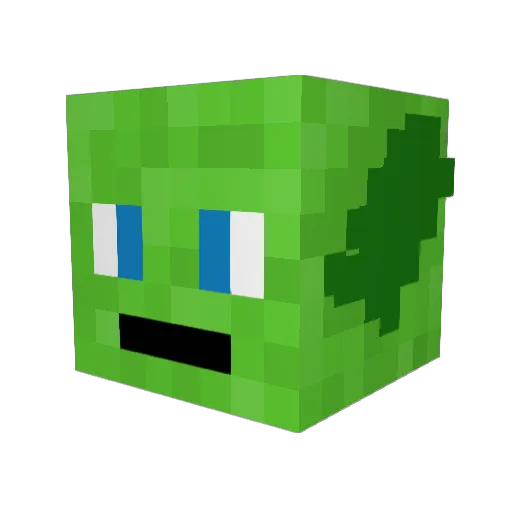 Firj_ Minecraft avatar head, 3D render