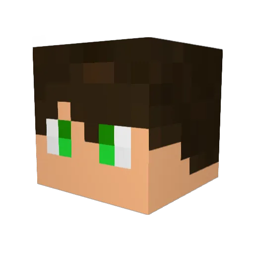 FirmerTuna9982 Minecraft avatar head, 3D render