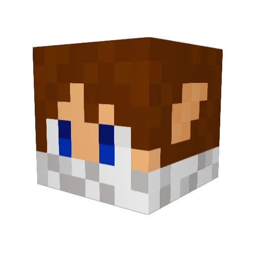 Firnen14 Minecraft avatar head, 3D render