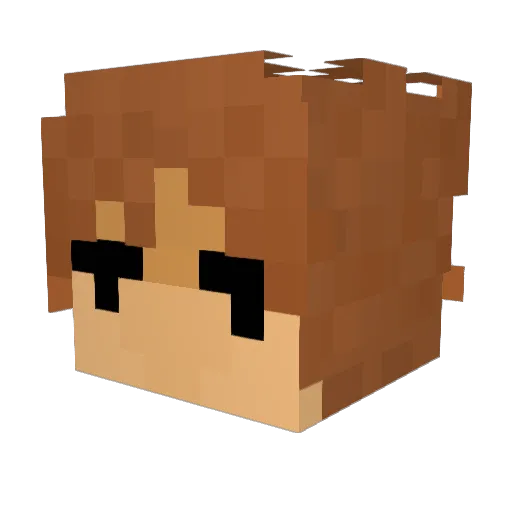 Firolot Minecraft avatar head, 3D render