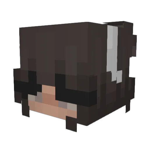 FirstFern5 Minecraft avatar head, 3D render