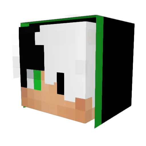 FirstHa2o Minecraft avatar head, 3D render