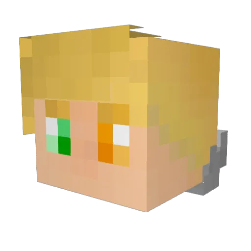 Firstl1ght Minecraft avatar head, 3D render
