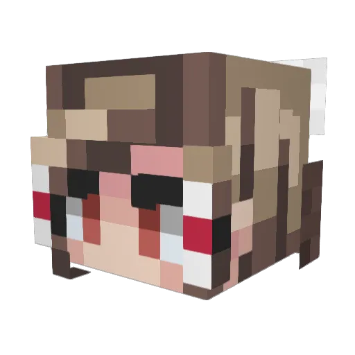 Firston_E Minecraft avatar head, 3D render