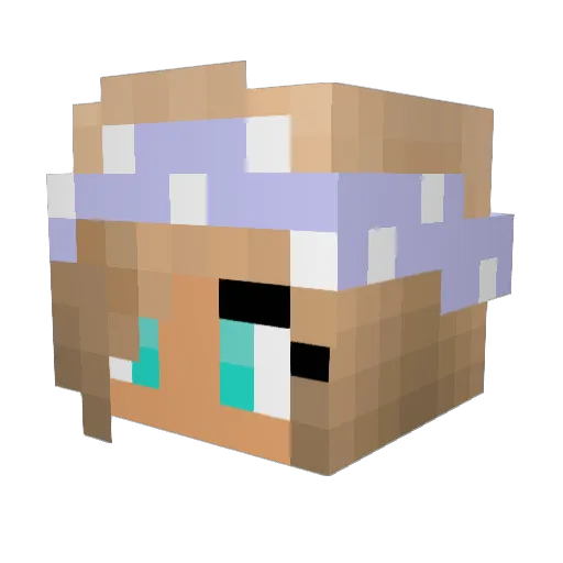 Firunja01 Minecraft avatar head, 3D render