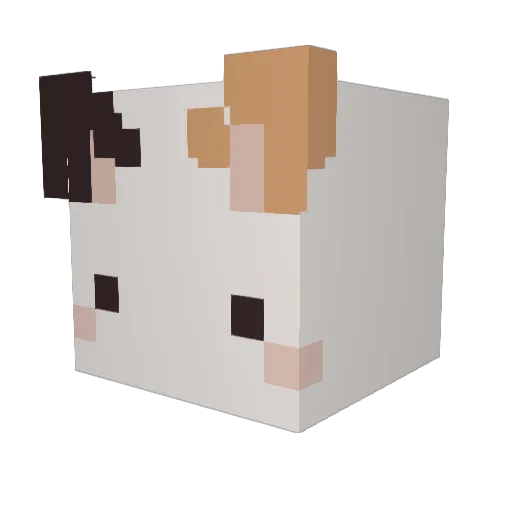 FisMis Minecraft avatar head, 3D render