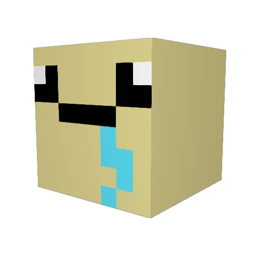 Fisch1910 Minecraft avatar head, 3D render