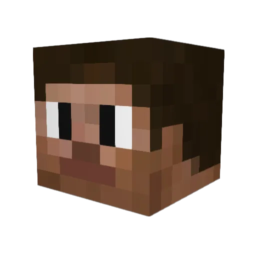 Fisch771 Minecraft avatar head, 3D render