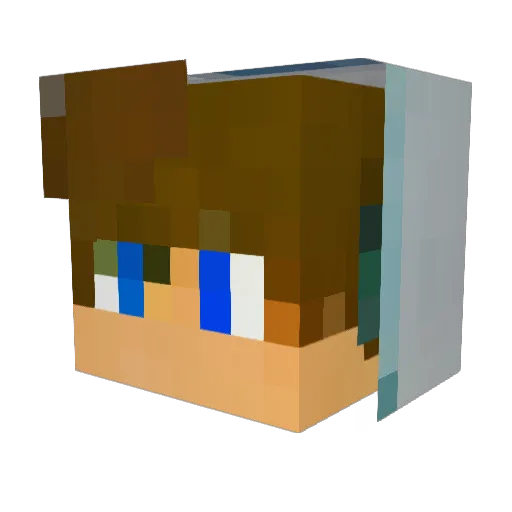 Fischer018 Minecraft avatar head, 3D render