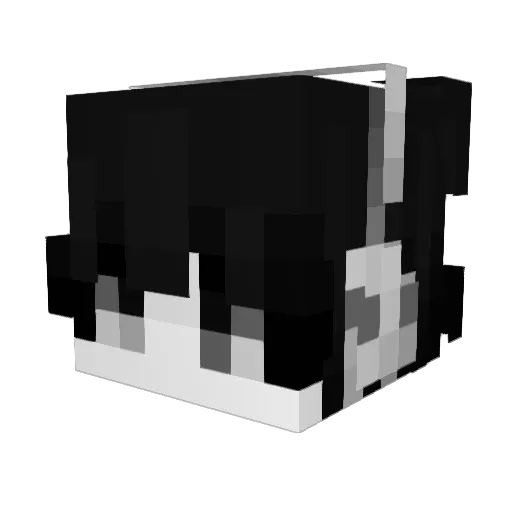 Fish102 Minecraft avatar head, 3D render
