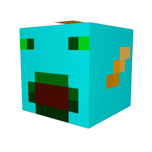 Fish3538 Minecraft avatar head, 3D render
