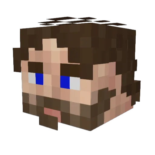 Fish398 Minecraft avatar head, 3D render