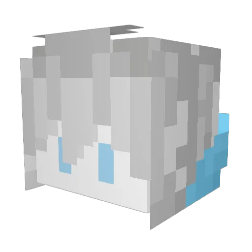 Fish685 Minecraft avatar head, 3D render