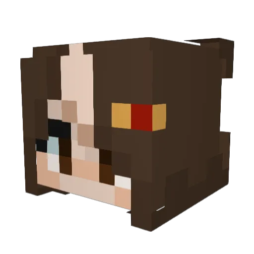FishBlubBlubYT Minecraft avatar head, 3D render