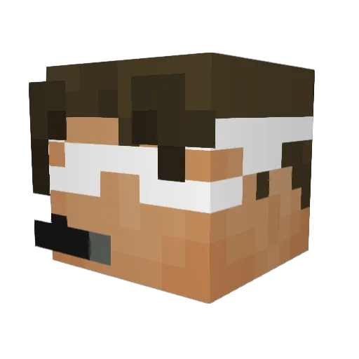 FishBoy10024 Minecraft avatar head, 3D render