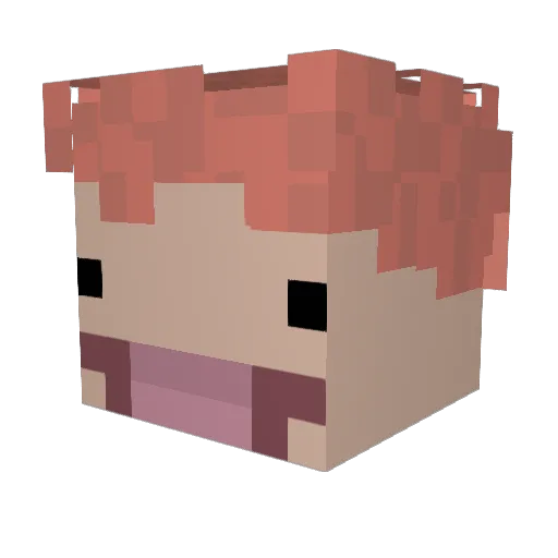 FishCheeks_ Minecraft avatar head, 3D render