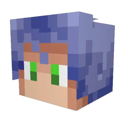 FishFan06 Minecraft avatar head, 3D render