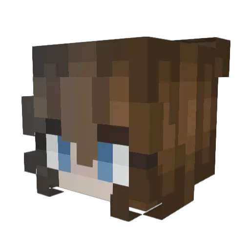 FishFeet44 Minecraft avatar head, 3D render