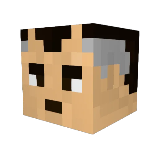 FishHallSoldier Minecraft avatar head, 3D render