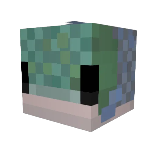 FishMcFishface Minecraft avatar head, 3D render