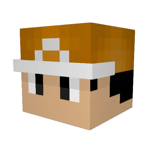 FishMerchant Minecraft avatar head, 3D render