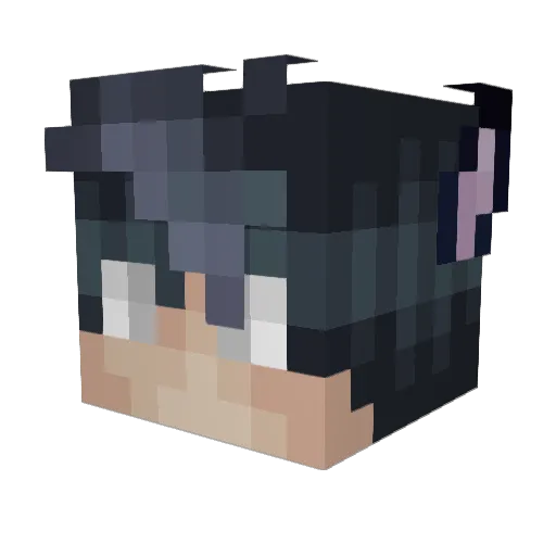 FishMessiah Minecraft avatar head, 3D render