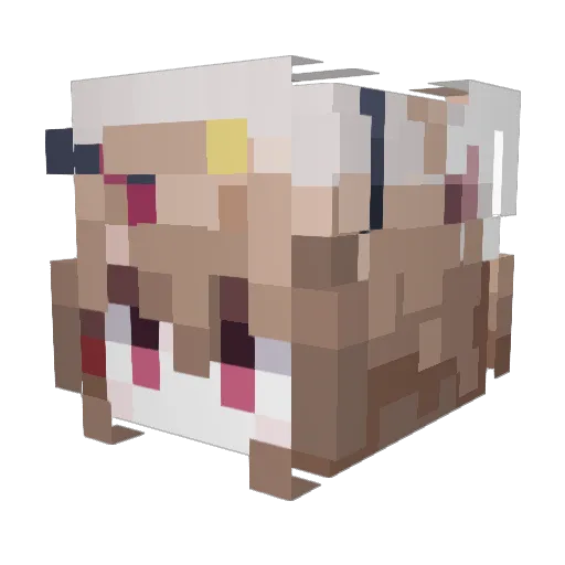 FishNChips0 Minecraft avatar head, 3D render