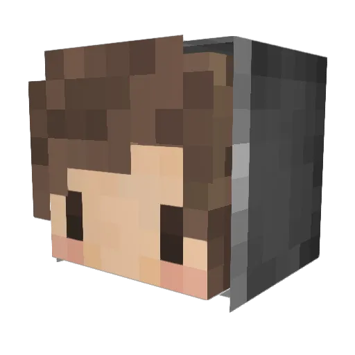 FishSlayer27 Minecraft avatar head, 3D render
