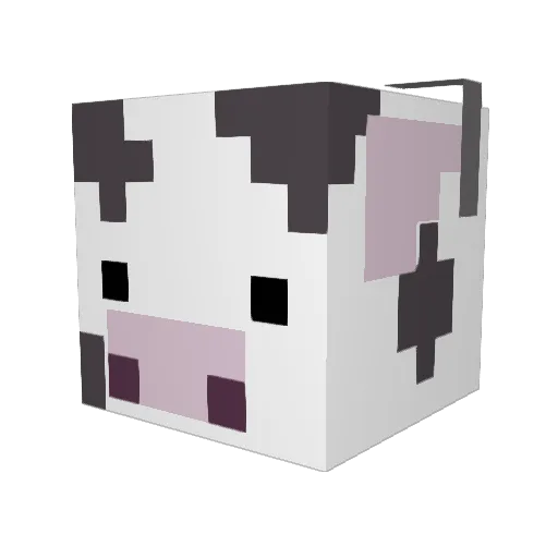 FishToesy Minecraft avatar head, 3D render