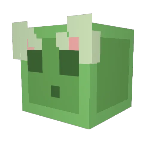 FishWish Minecraft avatar head, 3D render