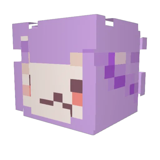 Fish_B0wl Minecraft avatar head, 3D render