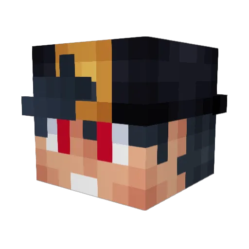 Fish_Collector Minecraft avatar head, 3D render