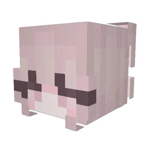 Fish_Dan_ Minecraft avatar head, 3D render