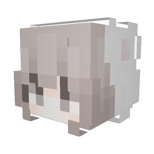 Fish_awa Minecraft avatar head, 3D render