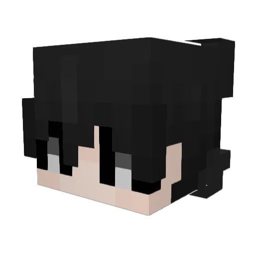 Fish_telly Minecraft avatar head, 3D render
