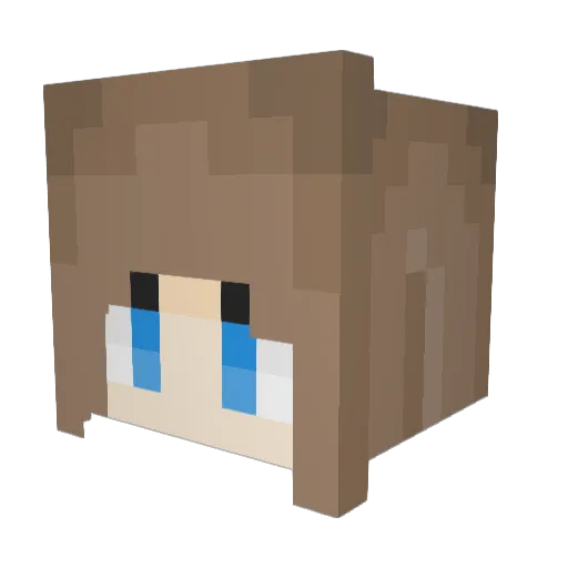 Fish_whisperer Minecraft avatar head, 3D render