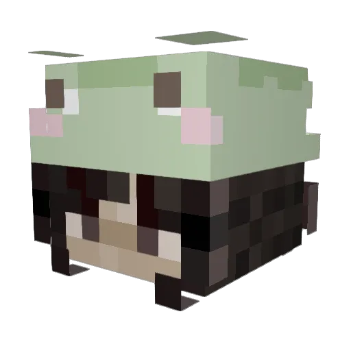 Fishay123 Minecraft avatar head, 3D render
