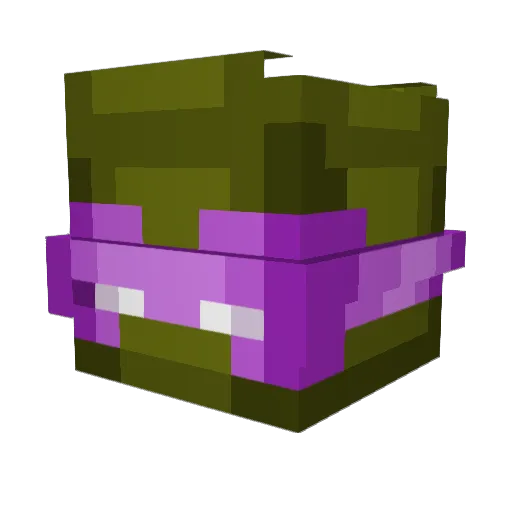Fishbae Minecraft avatar head, 3D render
