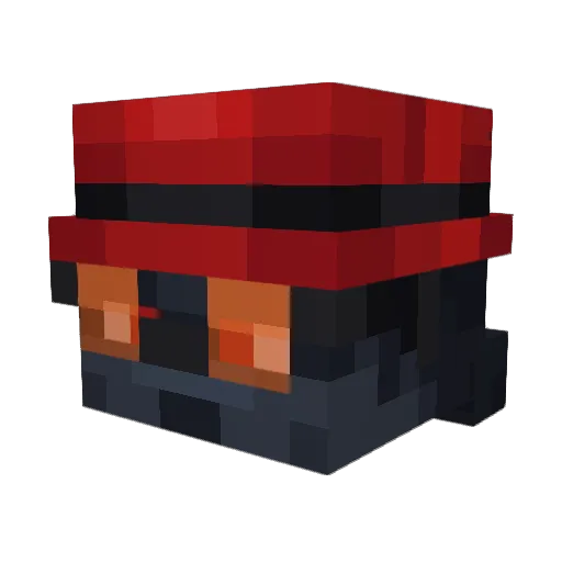 Fishbay Minecraft avatar head, 3D render